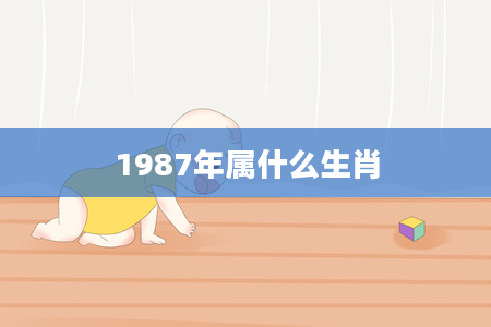 1987年属什么生肖