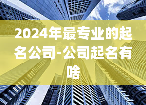 2024年最专业的起名公司-公司起名有啥