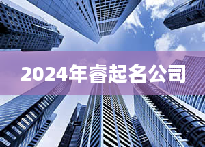 2024年睿起名公司