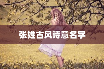 张姓古风诗意名字