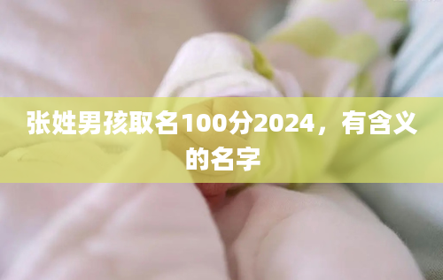 张姓男孩取名100分2024，有含义的名字