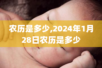 农历是多少,2024年1月28日农历是多少