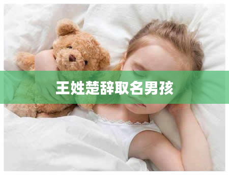 王姓楚辞取名男孩