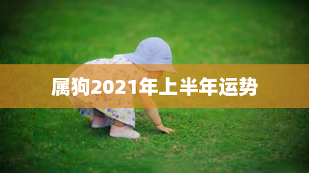 属狗2021年上半年运势