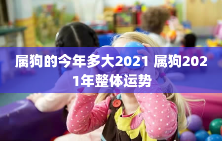 属狗的今年多大2021 属狗2021年整体运势