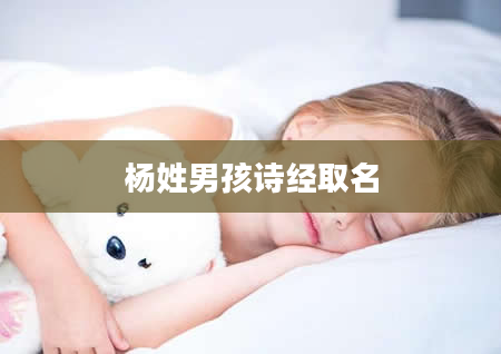 杨姓男孩诗经取名