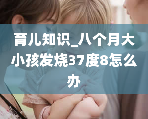 育儿知识_八个月大小孩发烧37度8怎么办