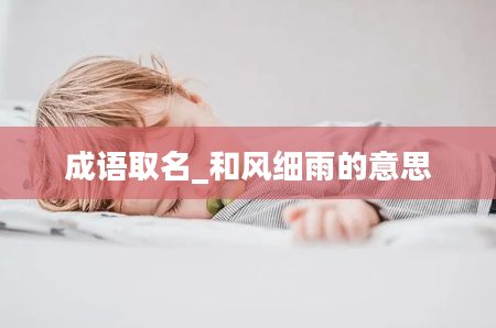 成语取名_和风细雨的意思