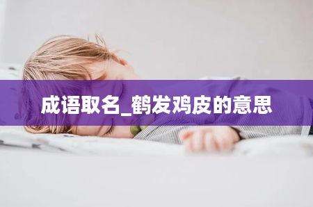 成语取名_鹤发鸡皮的意思