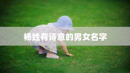 杨姓有诗意的男女名字