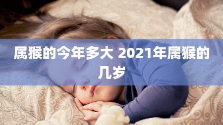 属猴的今年多大 2021年属猴的几岁