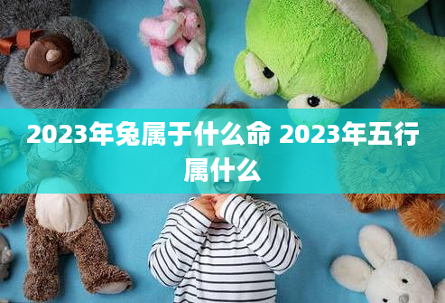 2023年兔属于什么命 2023年五行属什么