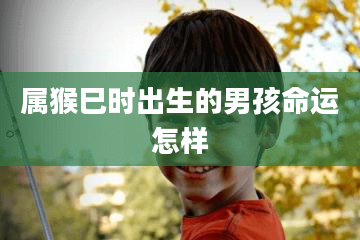 属猴巳时出生的男孩命运怎样