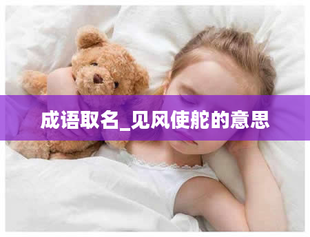 成语取名_见风使舵的意思