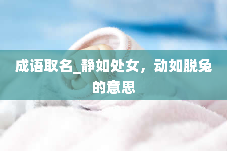 成语取名_静如处女，动如脱兔的意思