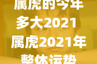 属虎的今年多大2021 属虎2021年整体运势