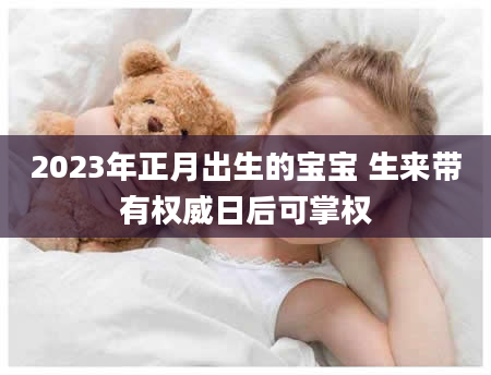 2023年正月出生的宝宝 生来带有权威日后可掌权