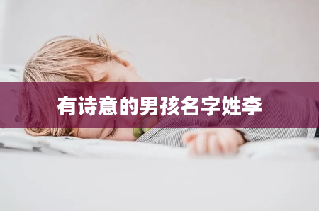 有诗意的男孩名字姓李