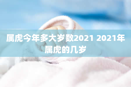 属虎今年多大岁数2021 2021年属虎的几岁