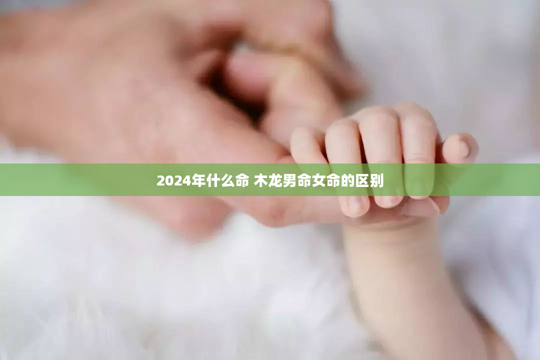 2024年什么命 木龙男命女命的区别