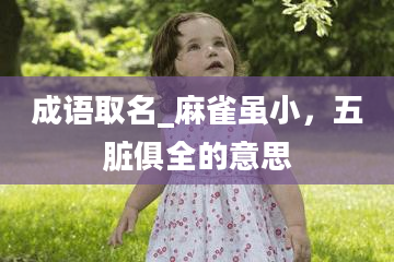 成语取名_麻雀虽小，五脏俱全的意思