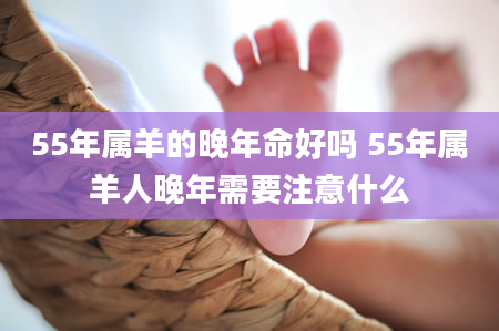 55年属羊的晚年命好吗 55年属羊人晚年需要注意什么