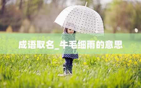 成语取名_牛毛细雨的意思