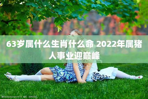 63岁属什么生肖什么命 2022年属猪人事业迎巅峰