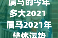 属马的今年多大2021 属马2021年整体运势