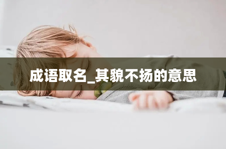 成语取名_其貌不扬的意思