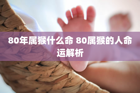 80年属猴什么命 80属猴的人命运解析