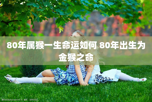 80年属猴一生命运如何 80年出生为金猴之命