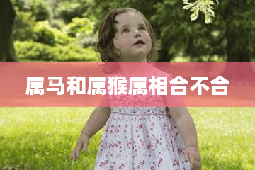 属马和属猴属相合不合