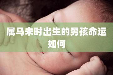 属马未时出生的男孩命运如何