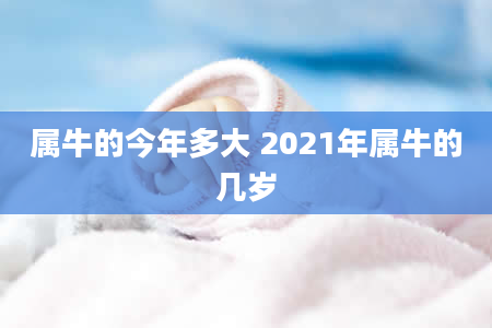 属牛的今年多大 2021年属牛的几岁