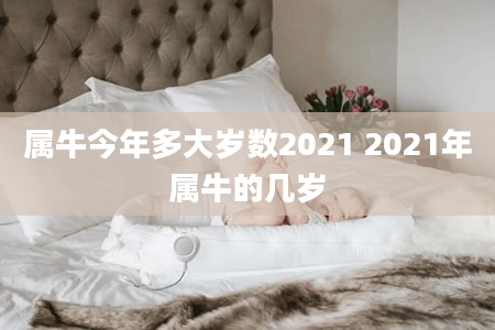 属牛今年多大岁数2021 2021年属牛的几岁