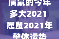 属鼠的今年多大2021 属鼠2021年整体运势