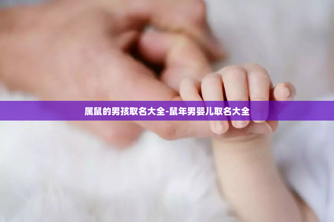 属鼠的男孩取名大全-鼠年男婴儿取名大全