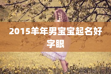 2015羊年男宝宝起名好字眼