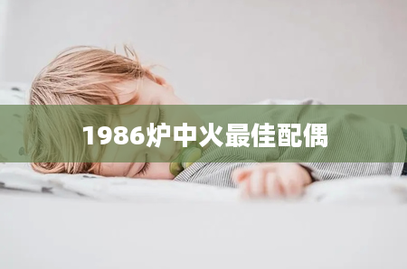 1986炉中火最佳配偶