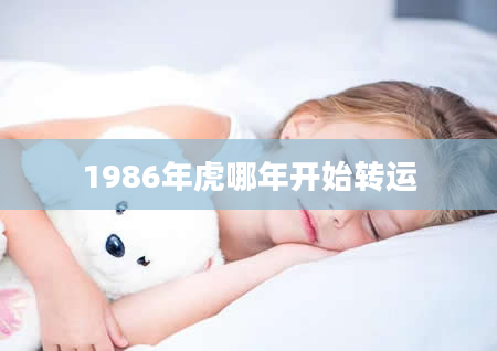 1986年虎哪年开始转运