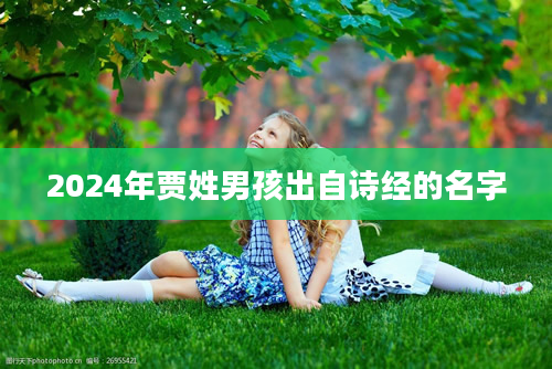 2024年贾姓男孩出自诗经的名字