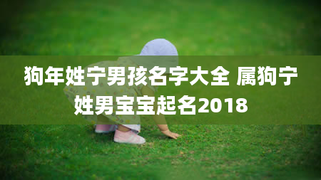 狗年姓宁男孩名字大全 属狗宁姓男宝宝起名2018