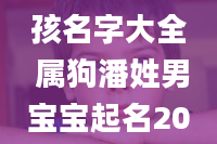 狗年姓潘男孩名字大全 属狗潘姓男宝宝起名2018