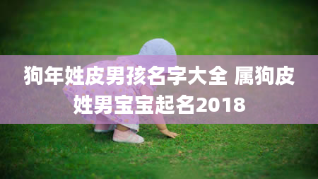 狗年姓皮男孩名字大全 属狗皮姓男宝宝起名2018