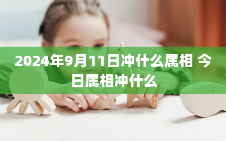 2024年9月11日冲什么属相 今日属相冲什么