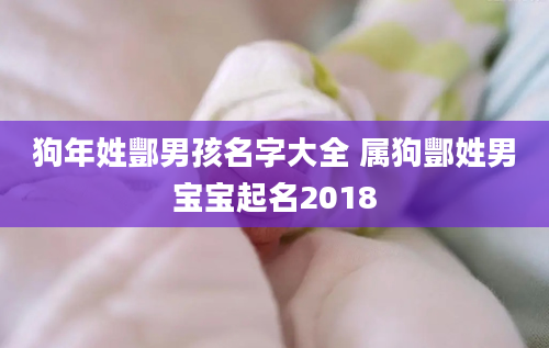 狗年姓酆男孩名字大全 属狗酆姓男宝宝起名2018