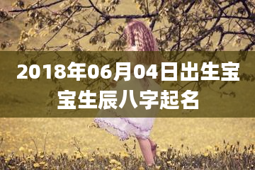 2018年06月04日出生宝宝生辰八字起名