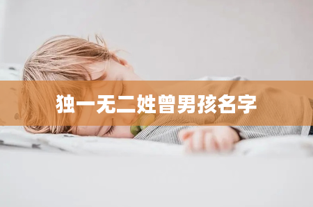 独一无二姓曾男孩名字