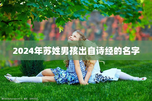 2024年苏姓男孩出自诗经的名字